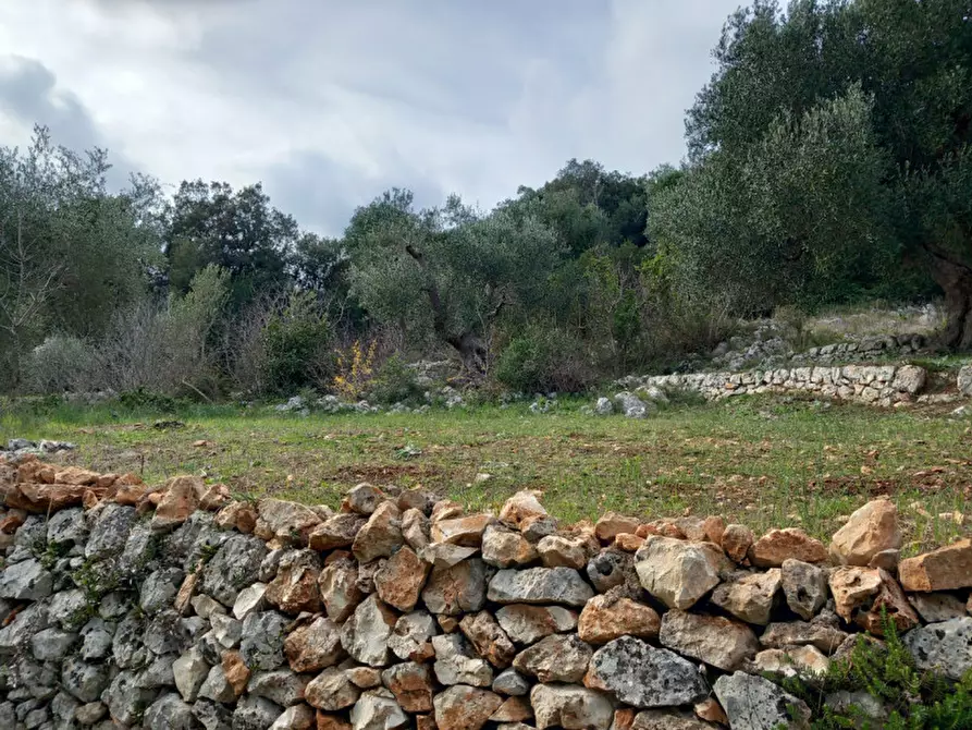 Immagine 13 di Rustico / casale in vendita  in C.da Vallegna a Ostuni