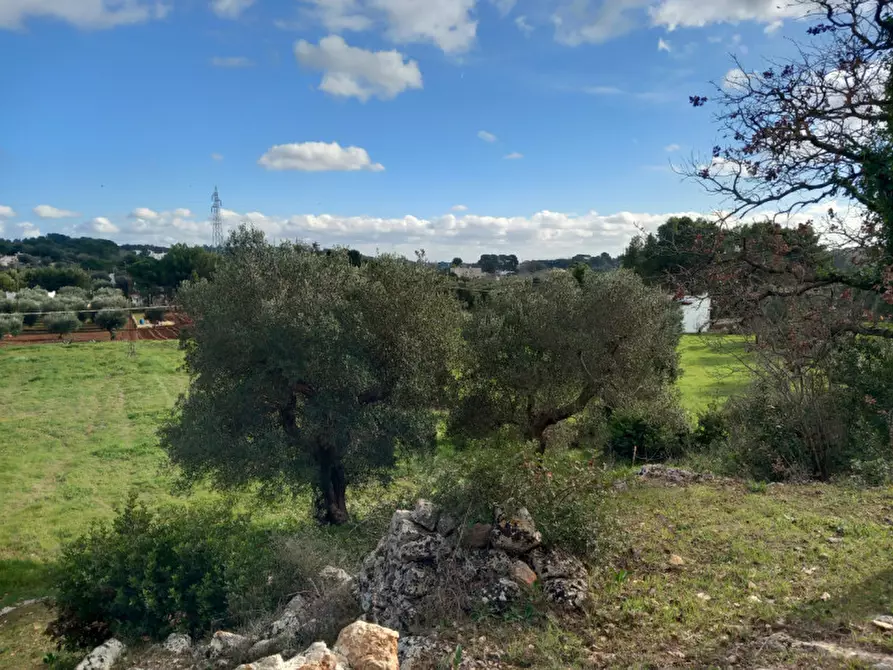 Immagine 14 di Rustico / casale in vendita  in C.da Vallegna a Ostuni