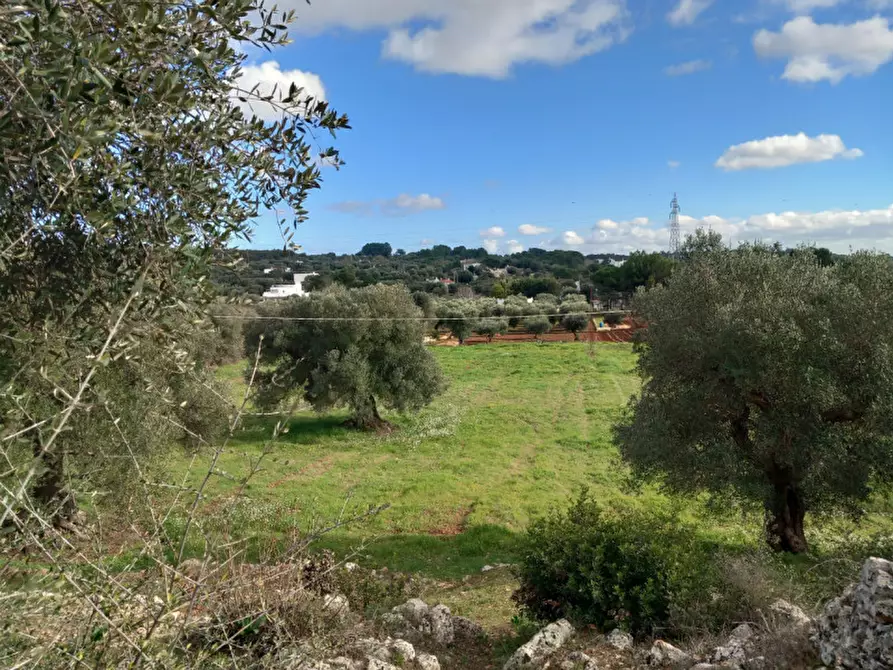 Immagine 15 di Rustico / casale in vendita  in C.da Vallegna a Ostuni