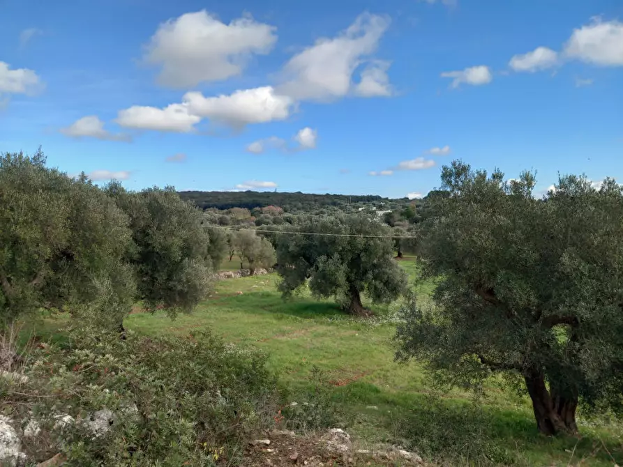 Immagine 17 di Rustico / casale in vendita  in C.da Vallegna a Ostuni