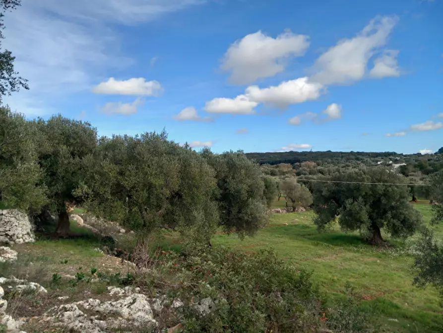 Immagine 18 di Rustico / casale in vendita  in C.da Vallegna a Ostuni