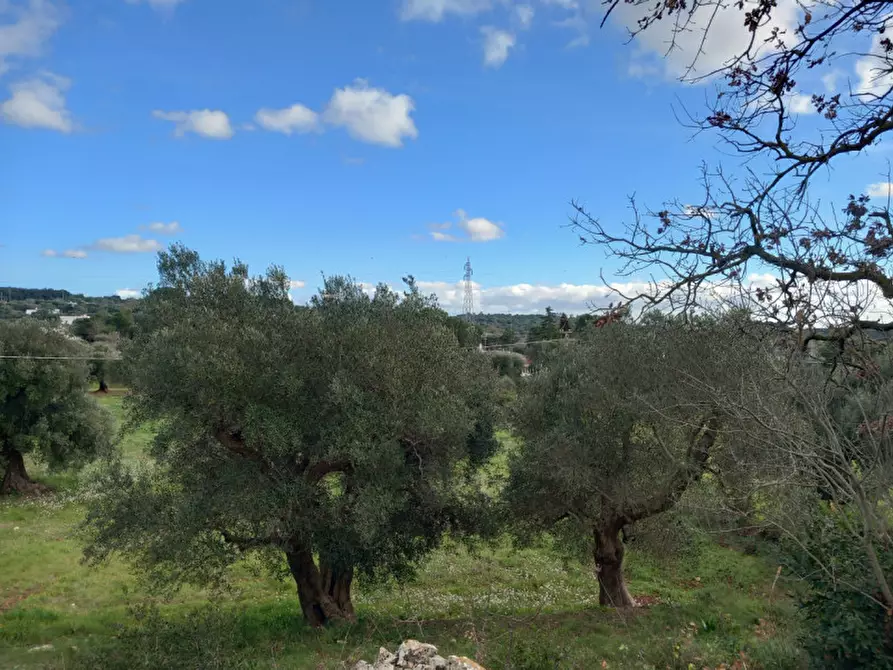 Immagine 19 di Rustico / casale in vendita  in C.da Vallegna a Ostuni