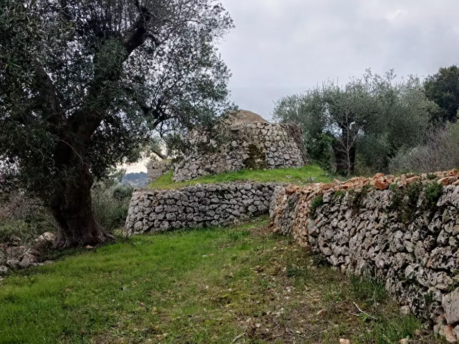 Immagine 21 di Rustico / casale in vendita  in C.da Vallegna a Ostuni