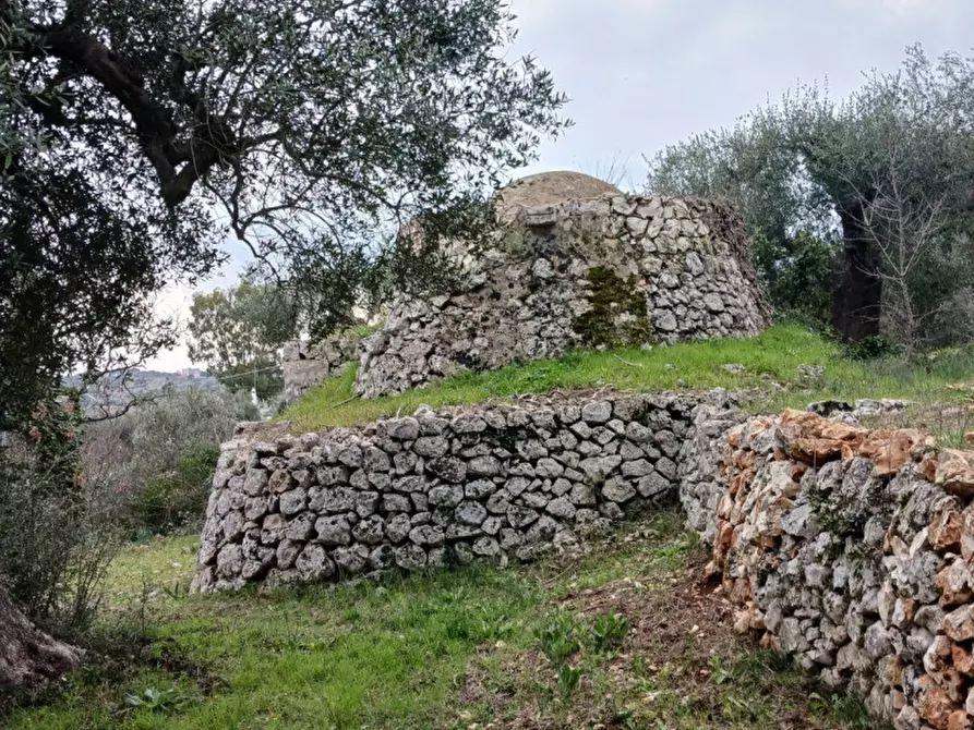 Immagine 22 di Rustico / casale in vendita  in C.da Vallegna a Ostuni