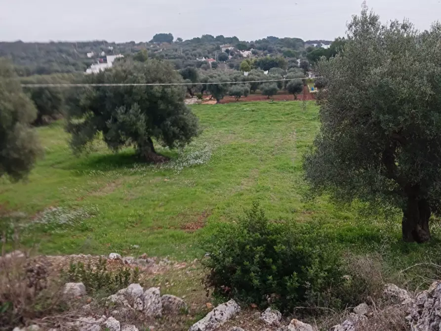 Immagine 23 di Rustico / casale in vendita  in C.da Vallegna a Ostuni
