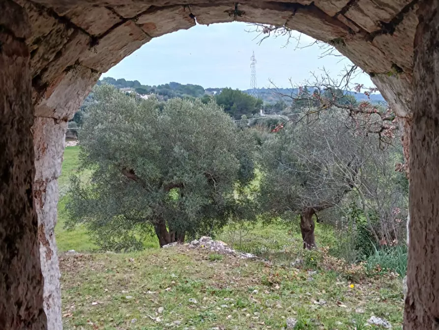Immagine 24 di Rustico / casale in vendita  in C.da Vallegna a Ostuni
