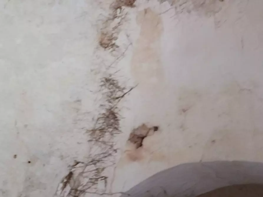 Immagine 34 di Rustico / casale in vendita  in C.da Vallegna a Ostuni