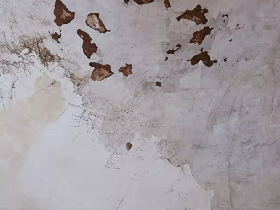 Immagine 35 di Rustico / casale in vendita  in C.da Vallegna a Ostuni