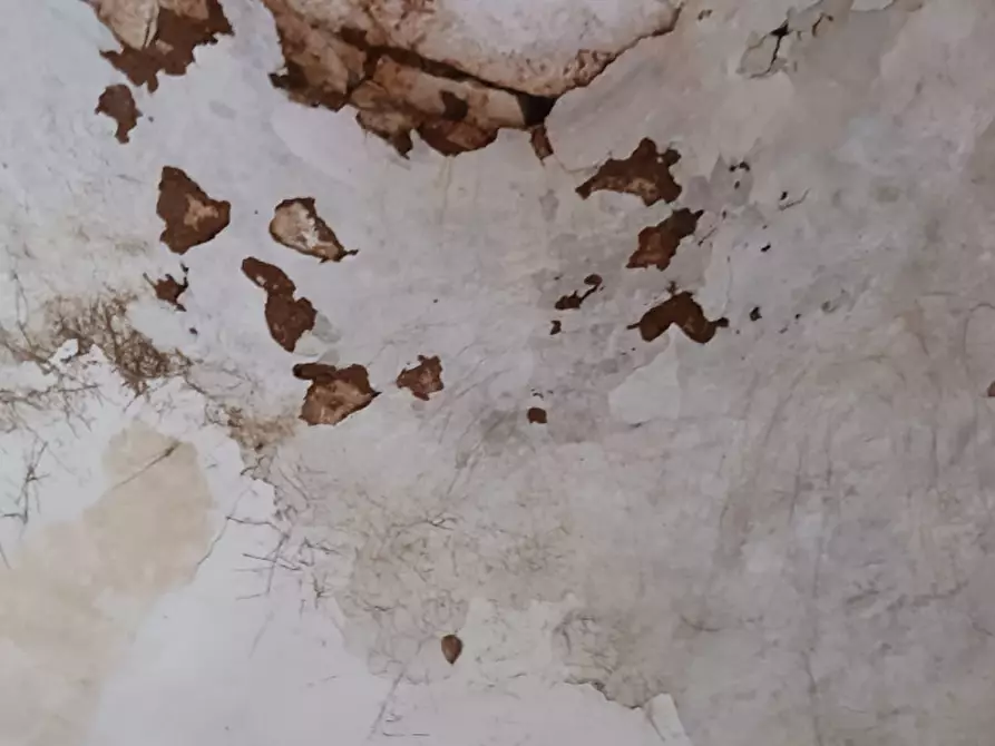 Immagine 36 di Rustico / casale in vendita  in C.da Vallegna a Ostuni