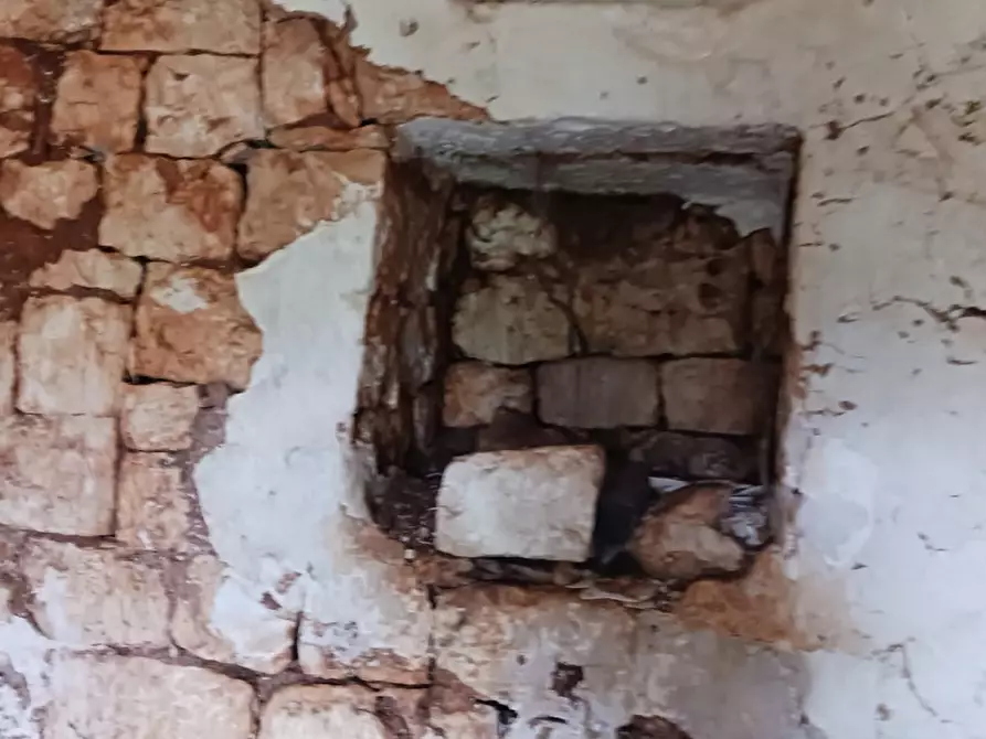 Immagine 40 di Rustico / casale in vendita  in C.da Vallegna a Ostuni