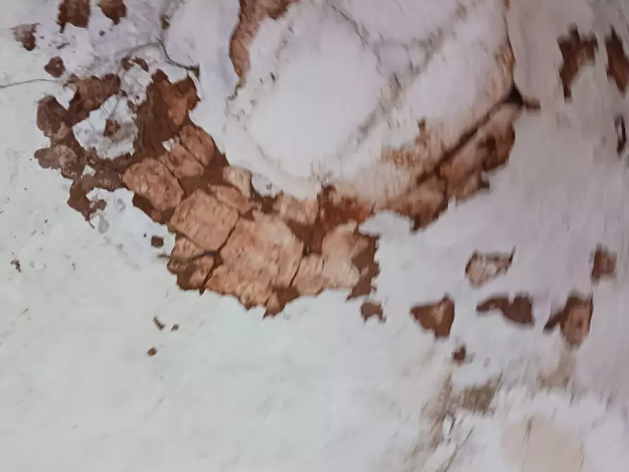 Immagine 43 di Rustico / casale in vendita  in C.da Vallegna a Ostuni