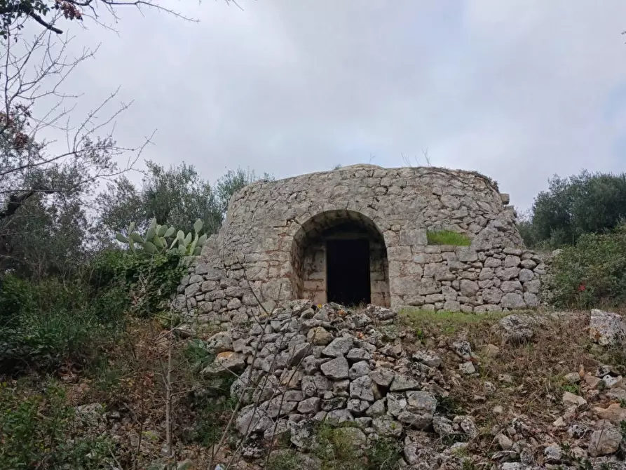 Immagine 47 di Rustico / casale in vendita  in C.da Vallegna a Ostuni