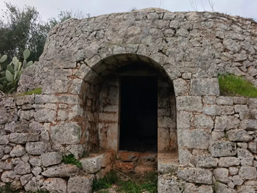 Immagine 49 di Rustico / casale in vendita  in C.da Vallegna a Ostuni