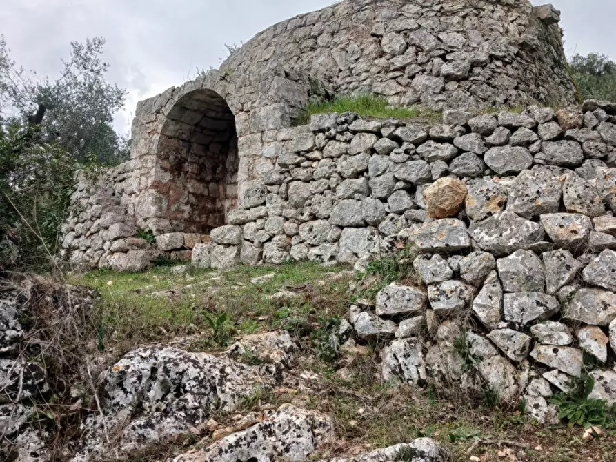 Immagine 50 di Rustico / casale in vendita  in C.da Vallegna a Ostuni