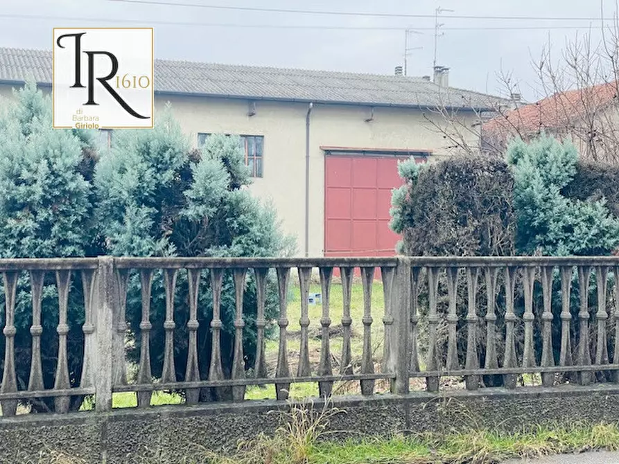 Immagine 4 di Casa indipendente in vendita  a Castagnaro