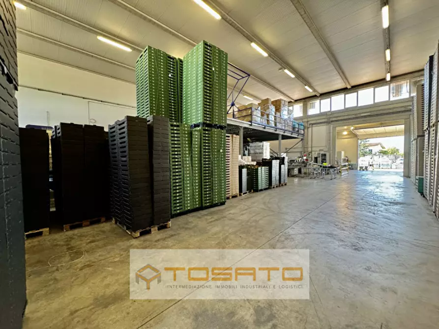 Immagine 3 di Capannone industriale in vendita  a Vigasio