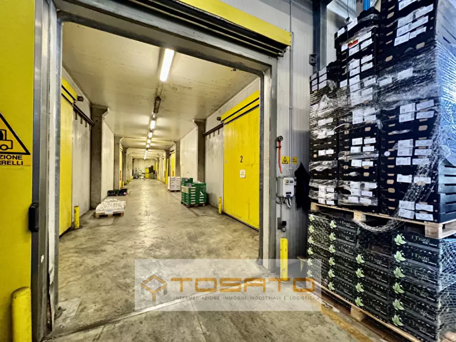 Immagine 9 di Capannone industriale in vendita  a Vigasio