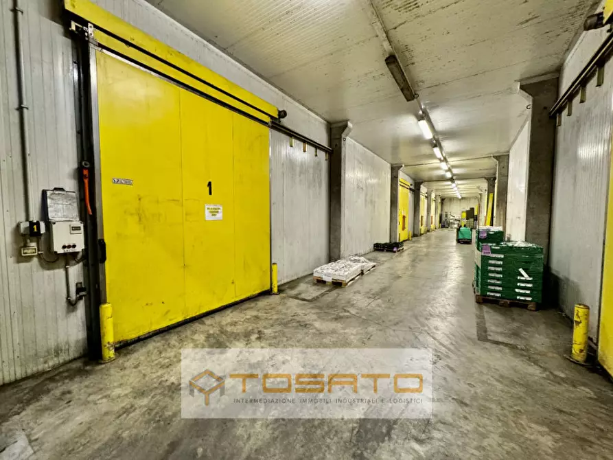 Immagine 9 di Capannone industriale in vendita  a Vigasio