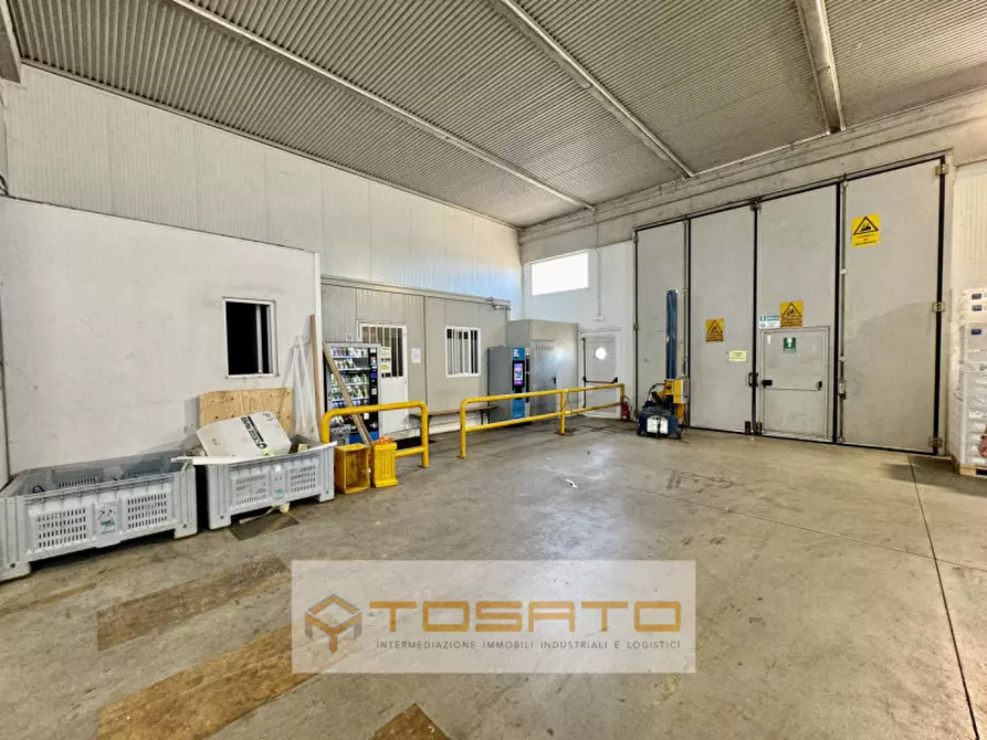 Immagine 10 di Capannone industriale in vendita  a Vigasio
