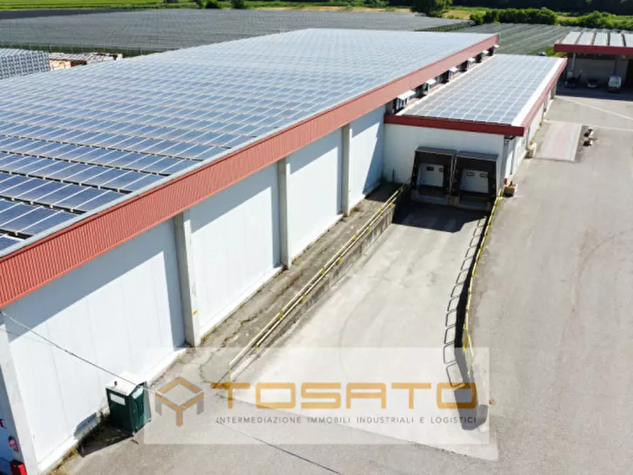 Immagine 11 di Capannone industriale in vendita  a Vigasio