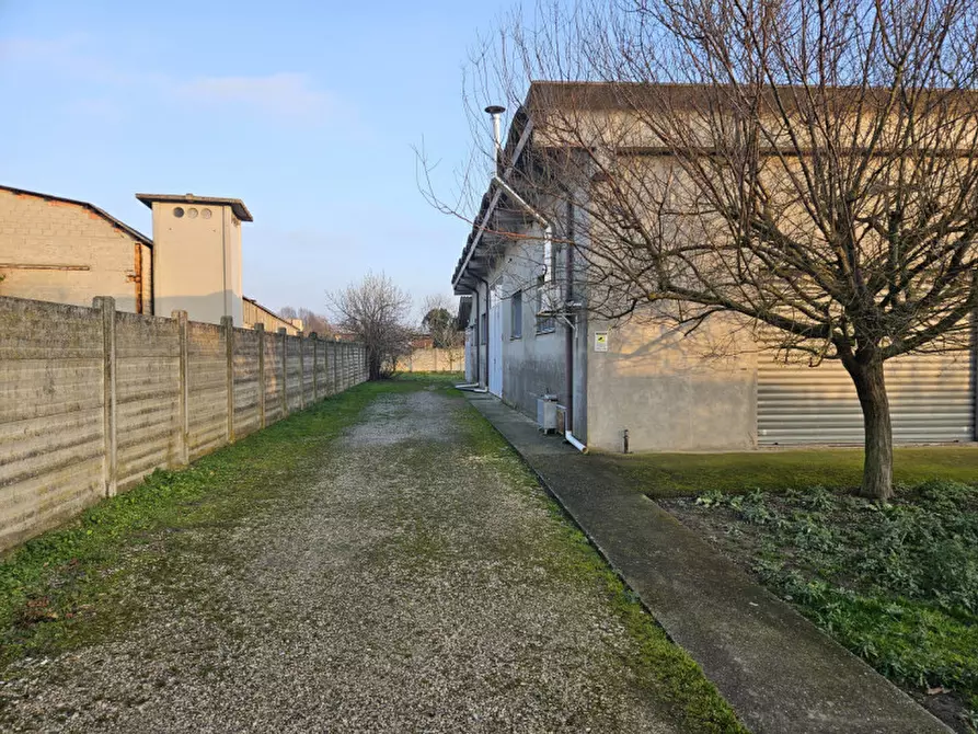 Immagine 5 di Capannone industriale in affitto  in Via Cavour a Villa Estense
