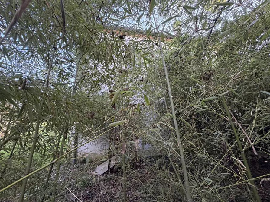 Immagine 12 di Rustico / casale in vendita  in Via Tramonte 4 a Torreglia