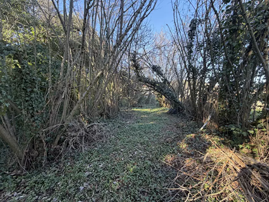 Immagine 13 di Rustico / casale in vendita  in Via Tramonte 4 a Torreglia