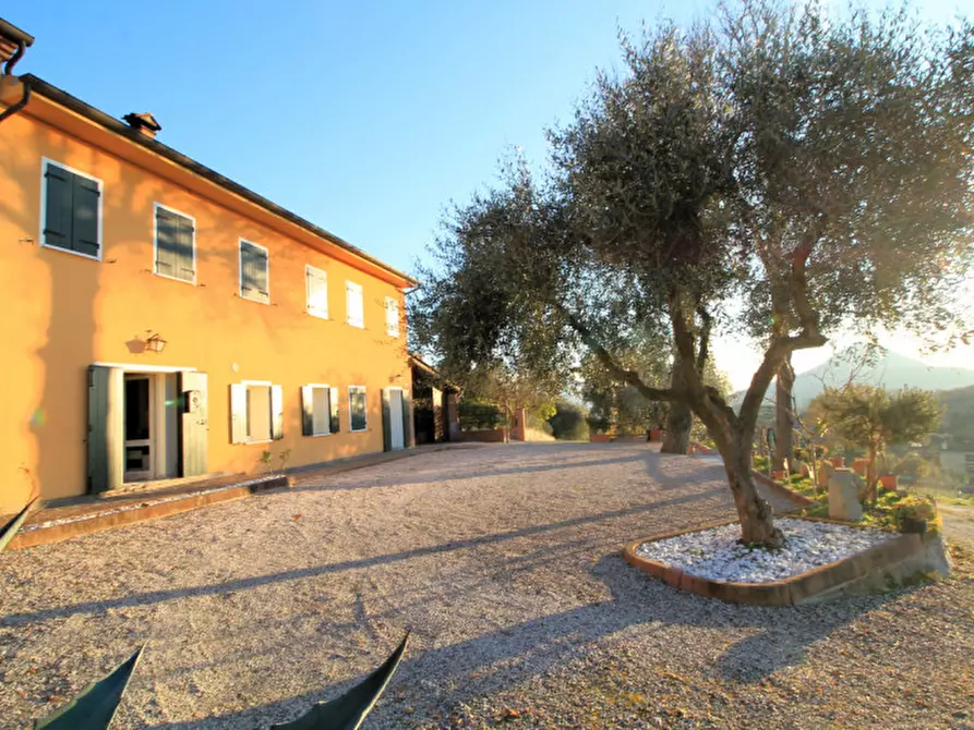 Immagine 1 di Villetta a schiera in vendita  in Via Mantovane a Cinto Euganeo