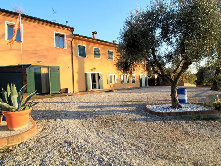 Immagine 4 di Villetta a schiera in vendita  in Via Mantovane a Cinto Euganeo