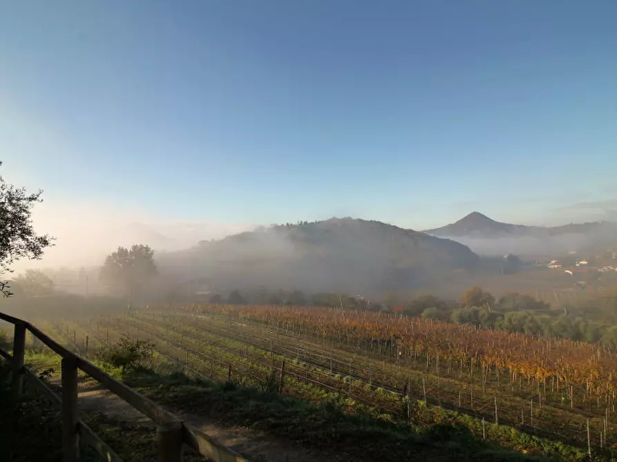 Immagine 8 di Villetta a schiera in vendita  in Via Mantovane a Cinto Euganeo