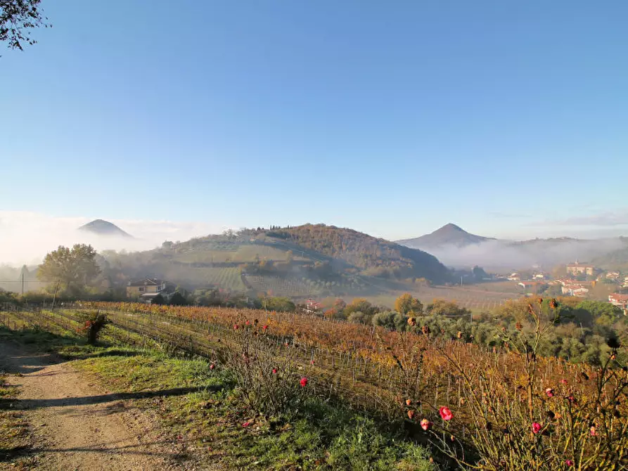 Immagine 9 di Villetta a schiera in vendita  in Via Mantovane a Cinto Euganeo