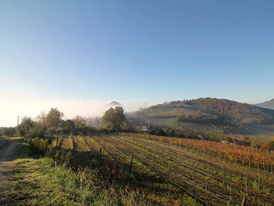 Immagine 11 di Villetta a schiera in vendita  in Via Mantovane a Cinto Euganeo