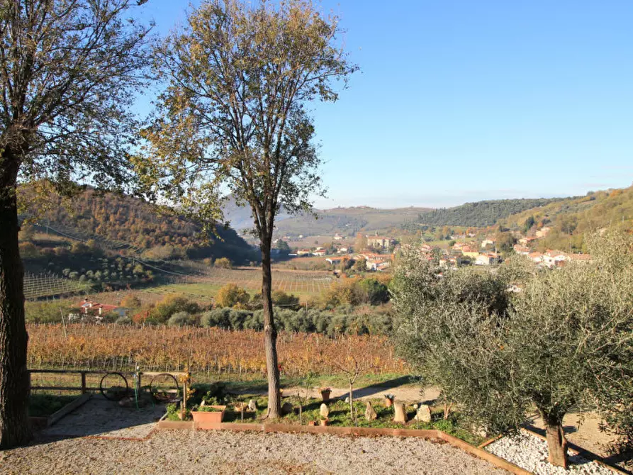 Immagine 47 di Villetta a schiera in vendita  in Via Mantovane a Cinto Euganeo