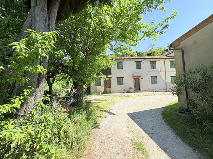 Immagine 3 di Casa bifamiliare in vendita  in Via Pegorile a Cinto Euganeo