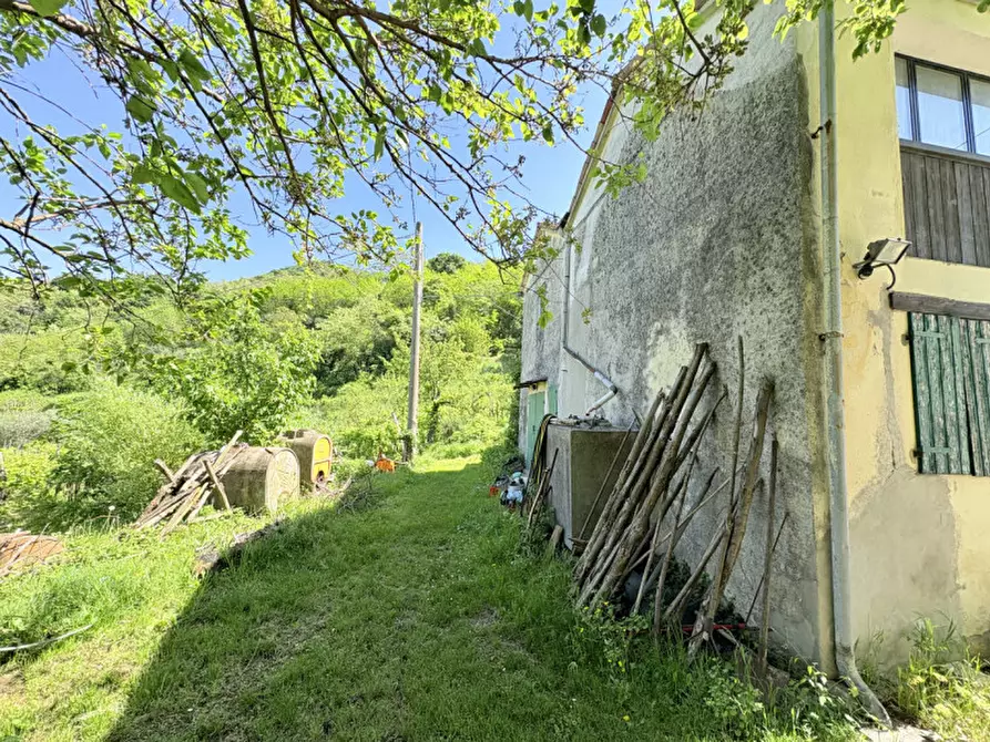 Immagine 7 di Casa bifamiliare in vendita  in Via Pegorile a Cinto Euganeo