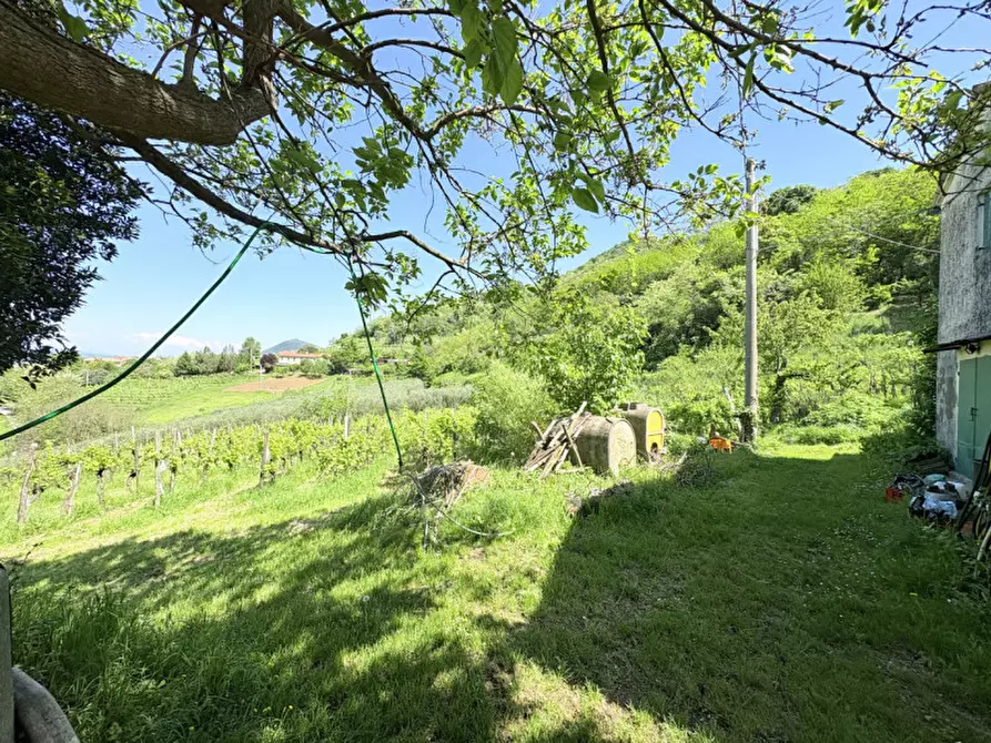 Immagine 8 di Casa bifamiliare in vendita  in Via Pegorile a Cinto Euganeo