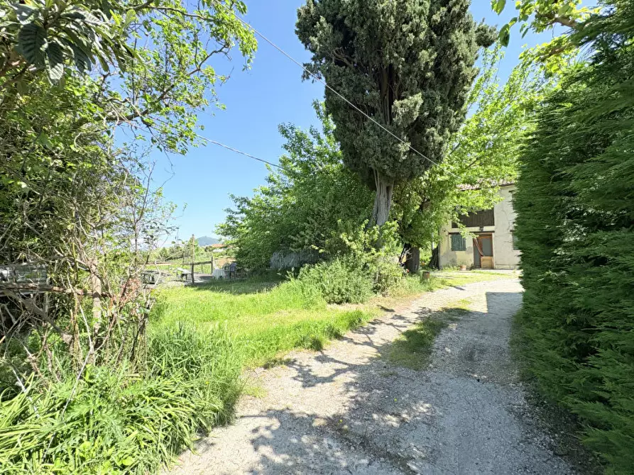 Immagine 9 di Casa bifamiliare in vendita  in Via Pegorile a Cinto Euganeo