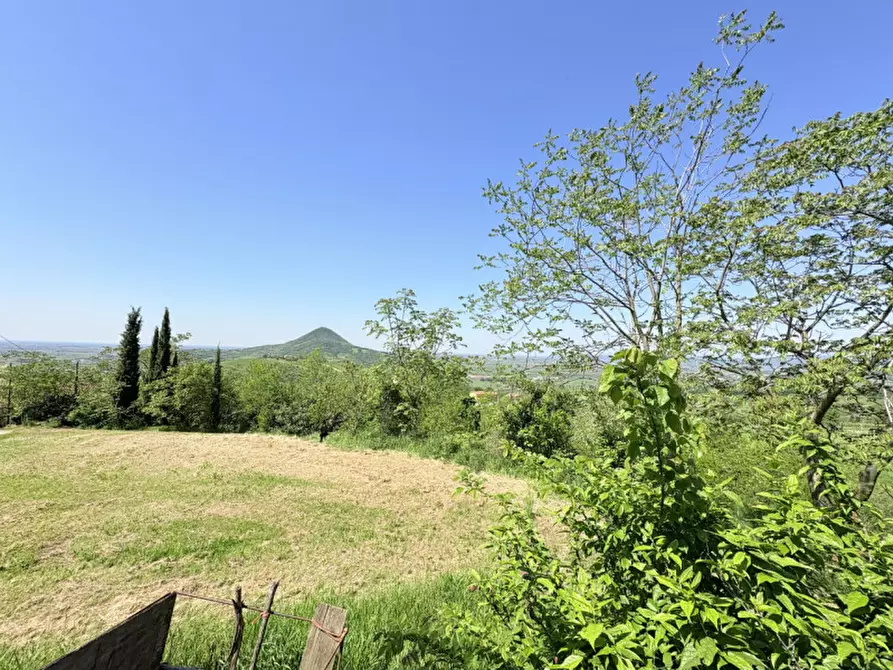 Immagine 11 di Casa bifamiliare in vendita  in Via Pegorile a Cinto Euganeo