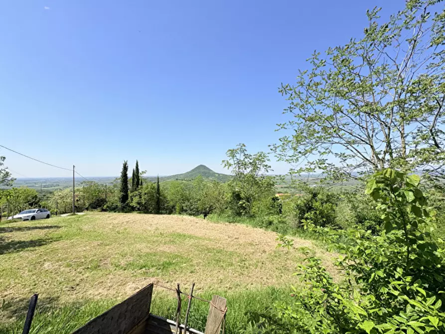 Immagine 12 di Casa bifamiliare in vendita  in Via Pegorile a Cinto Euganeo
