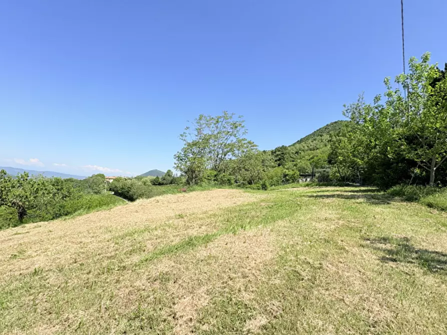 Immagine 14 di Casa bifamiliare in vendita  in Via Pegorile a Cinto Euganeo