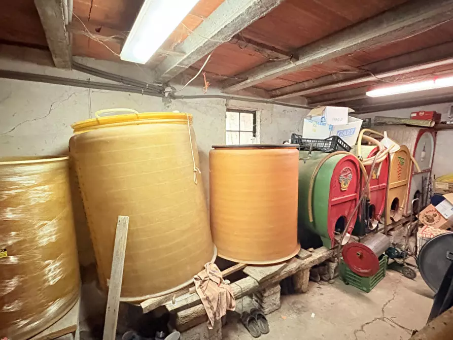 Immagine 25 di Casa bifamiliare in vendita  in Via Pegorile a Cinto Euganeo