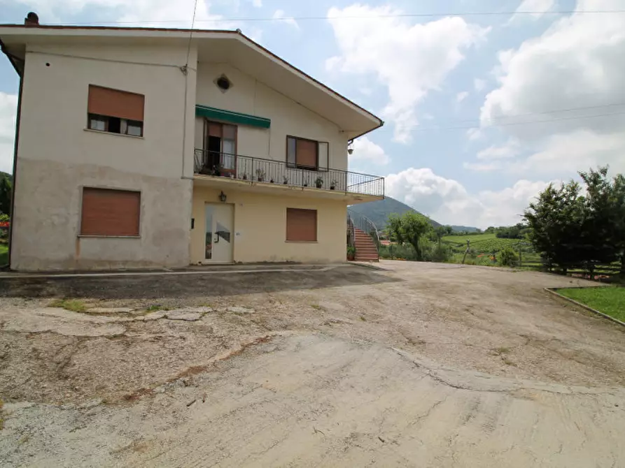 Immagine 2 di Appartamento in vendita  a Cinto Euganeo