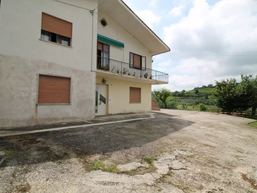 Immagine 3 di Appartamento in vendita  a Cinto Euganeo