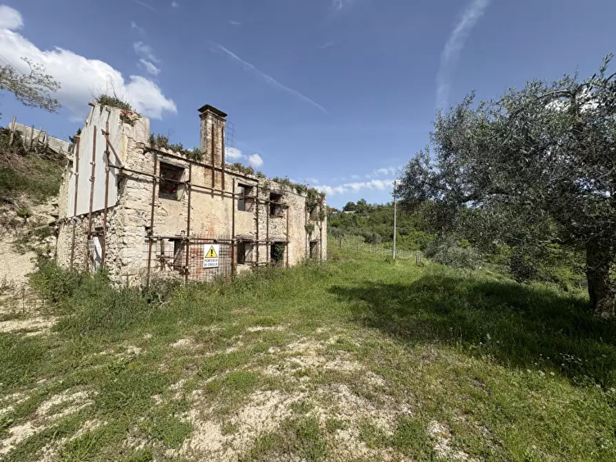 Immagine 3 di Rustico / casale in vendita  in Via Pestrini a Cinto Euganeo