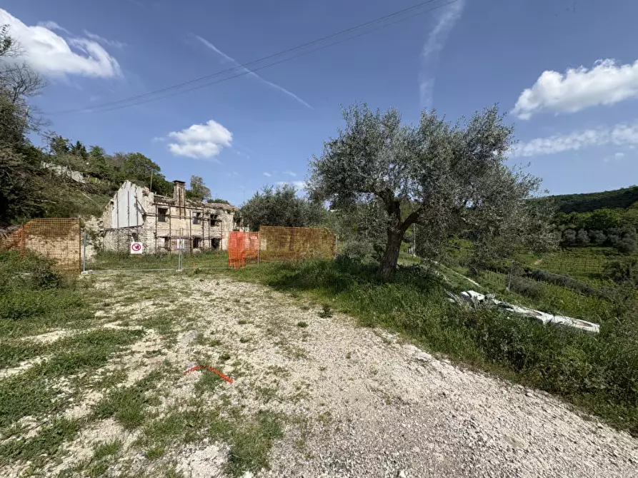 Immagine 7 di Rustico / casale in vendita  in Via Pestrini a Cinto Euganeo