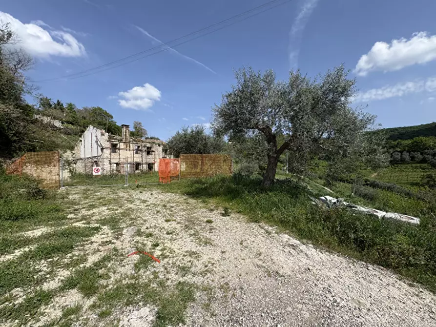 Immagine 8 di Rustico / casale in vendita  in Via Pestrini a Cinto Euganeo