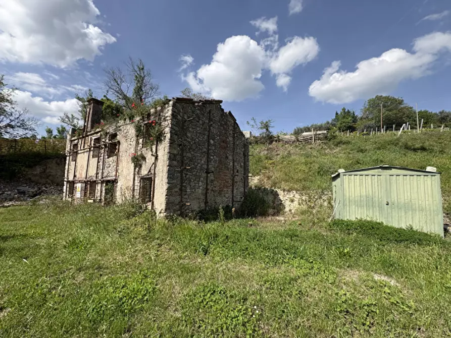 Immagine 10 di Rustico / casale in vendita  in Via Pestrini a Cinto Euganeo