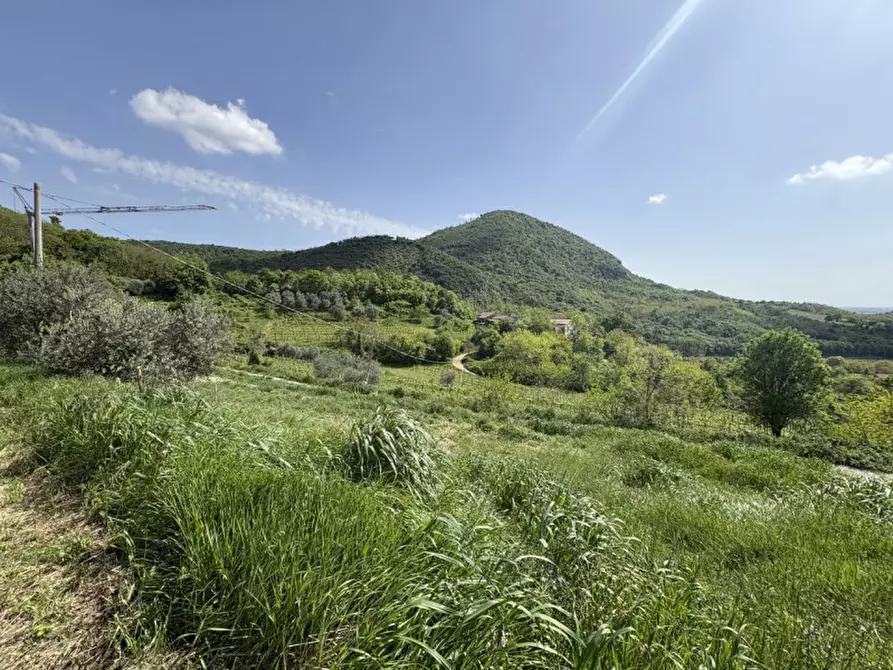 Immagine 11 di Rustico / casale in vendita  in Via Pestrini a Cinto Euganeo