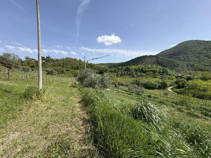 Immagine 12 di Rustico / casale in vendita  in Via Pestrini a Cinto Euganeo