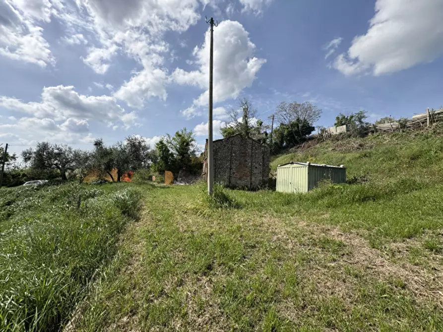 Immagine 13 di Rustico / casale in vendita  in Via Pestrini a Cinto Euganeo